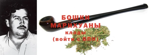 PSILOCYBIN Няндома