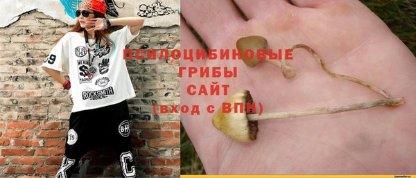 PSILOCYBIN Новозыбков