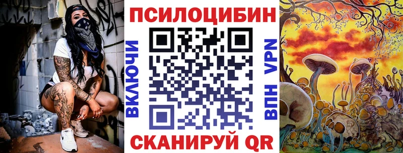 купить закладку  Цоци-Юрт  Псилоцибиновые грибы прущие грибы 