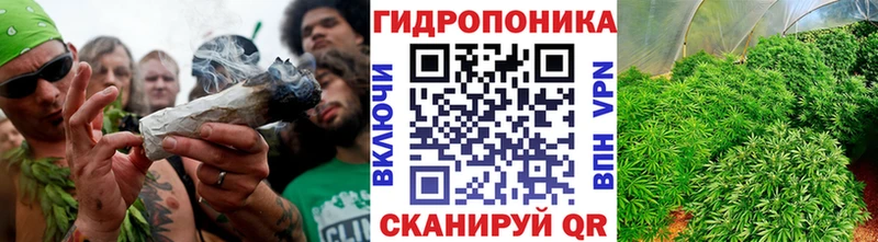 Шишки марихуана Amnesia  дарнет шоп  OMG tor  Цоци-Юрт 